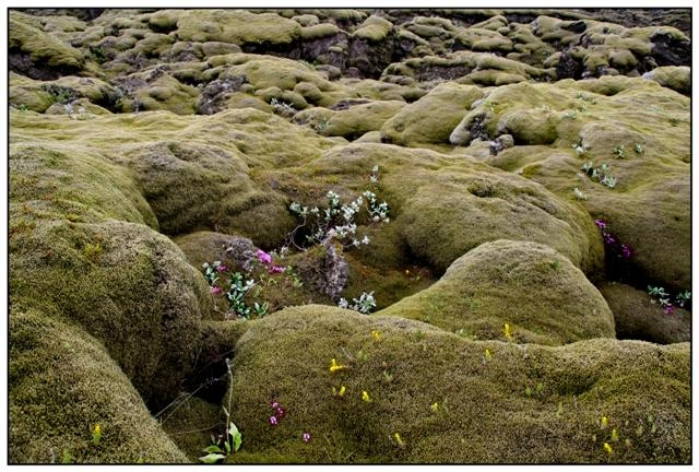 islande sable de Myrdalur 3310 (Small).jpg